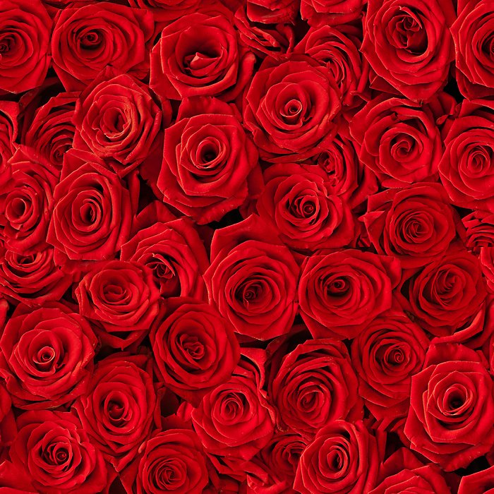 Rose Arrangement